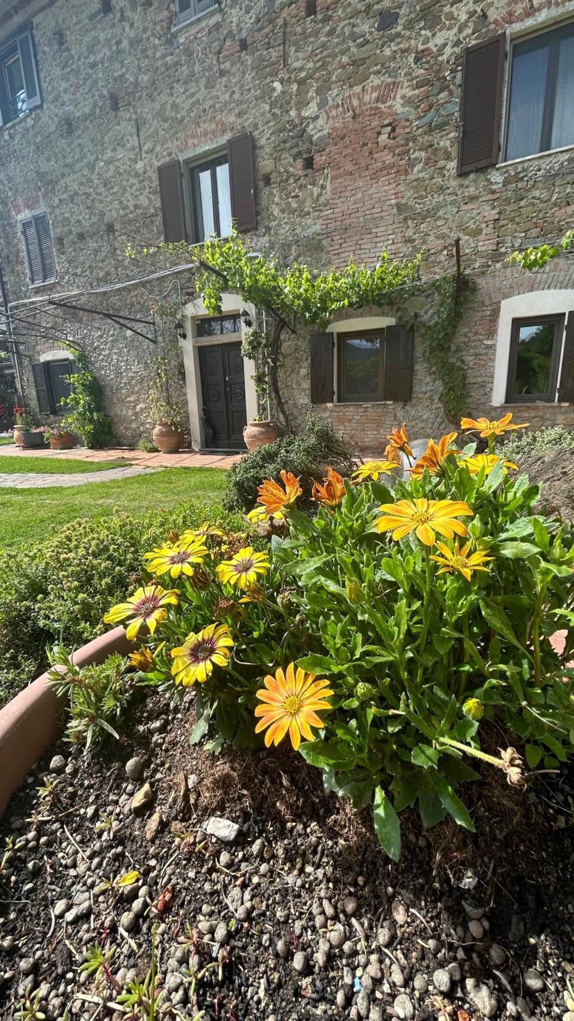 Cascina Ciosse B&B Grognardo Eksteriør bilde